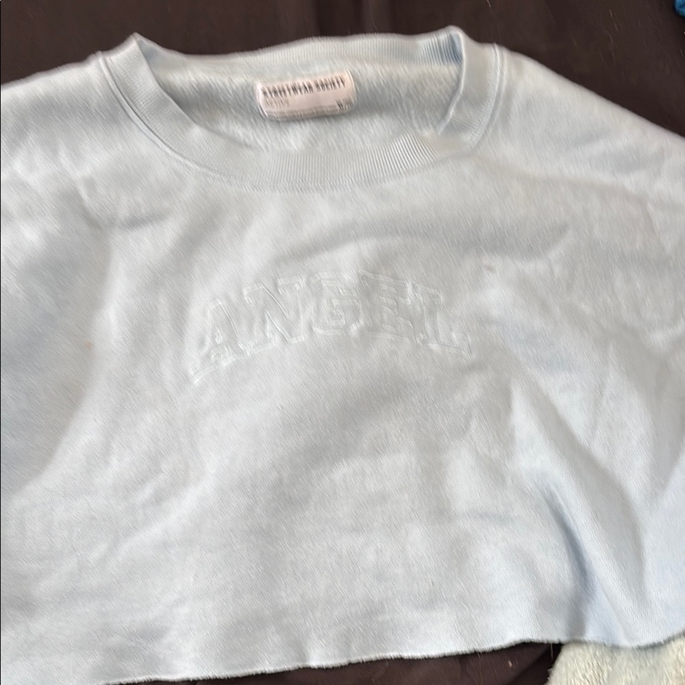 Brandy Melville Blue Hoodie Sweatshirt